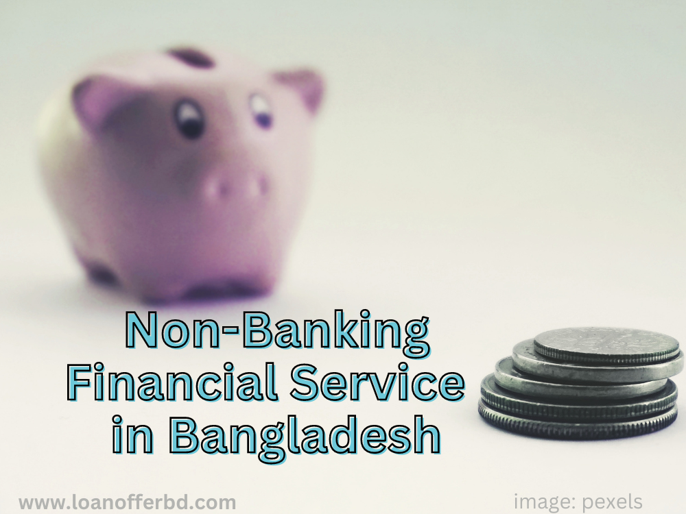 non-banking-financial-service