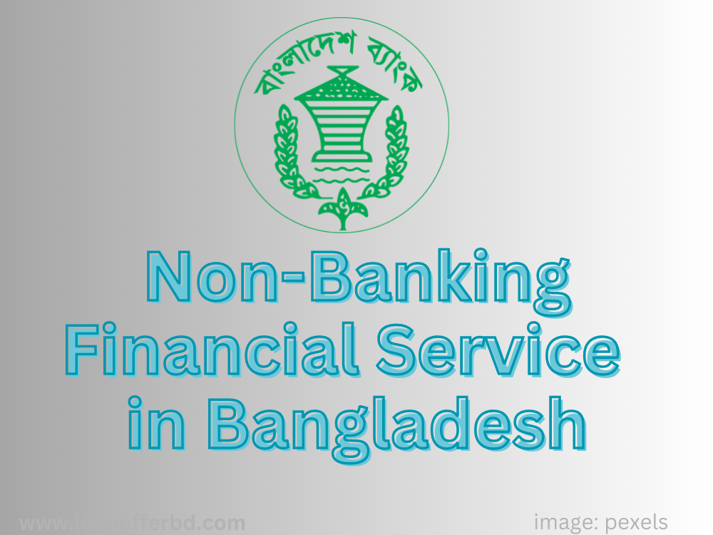 non-banking-institute-in-bangladesh